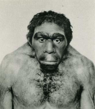 Homo neanderthalensis - 200.000 anni fa 
